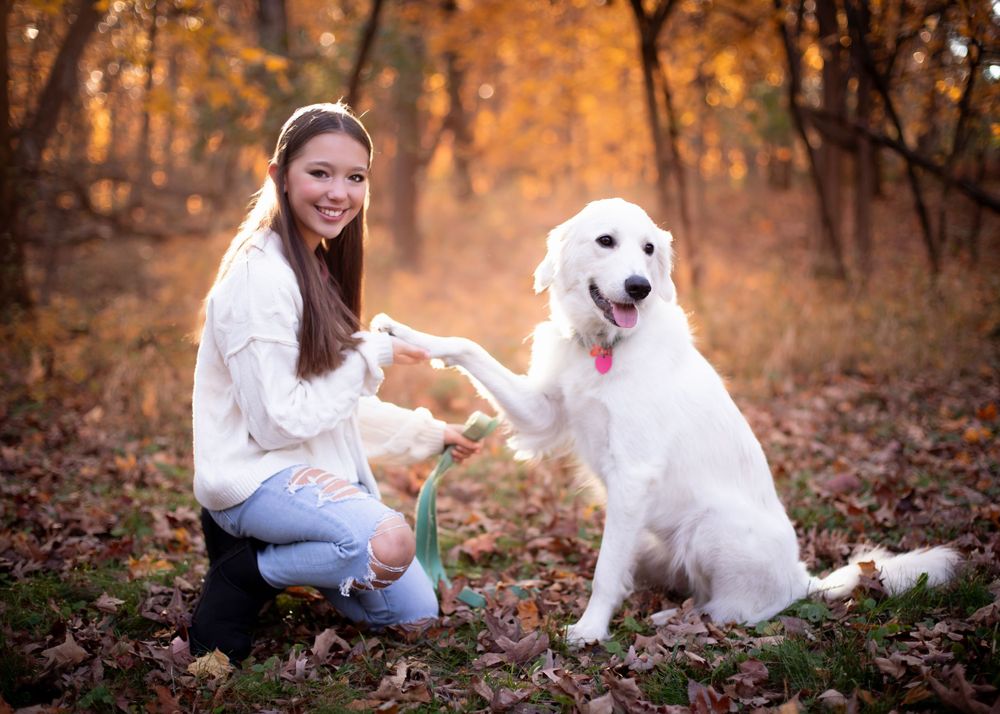 family photographer outdoors natural light fall Jessica Roth Photography Janesville Wisconsin Professional Photographer dogs welcome