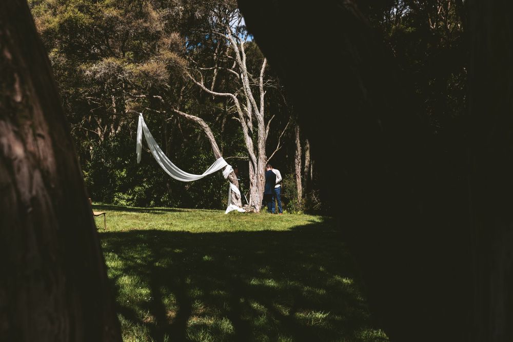 White fabric hanging between trees in a sunlit forest clearing.