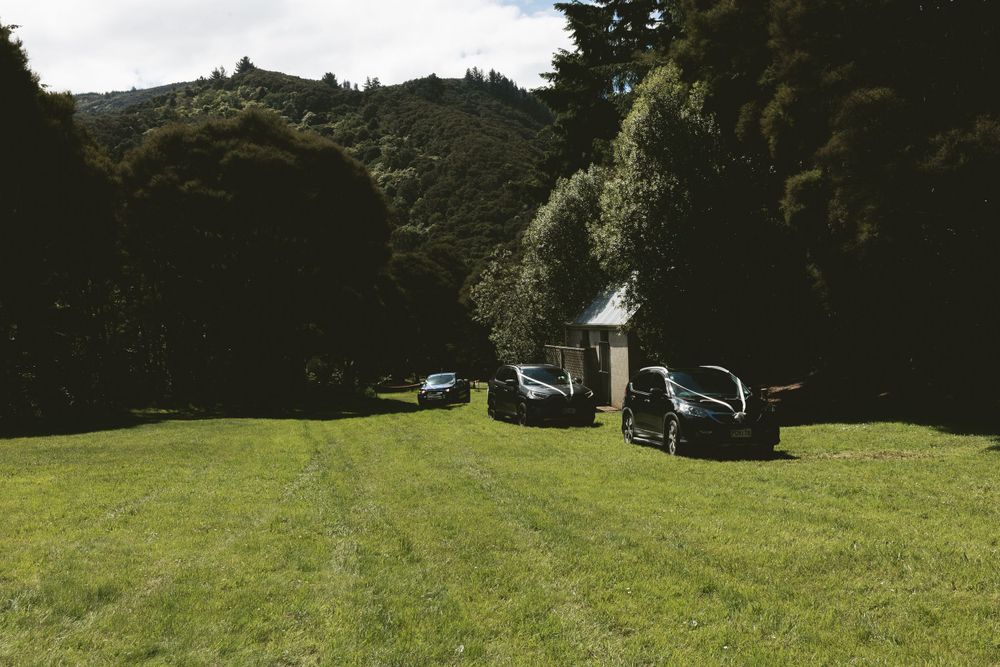 Cars parked in a grassy clearing surrounded by lush forest trees on a sunny day.