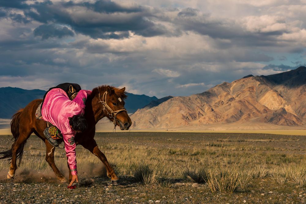 A horse in pink protective gear runs across a mountainous Mongolian landscape.