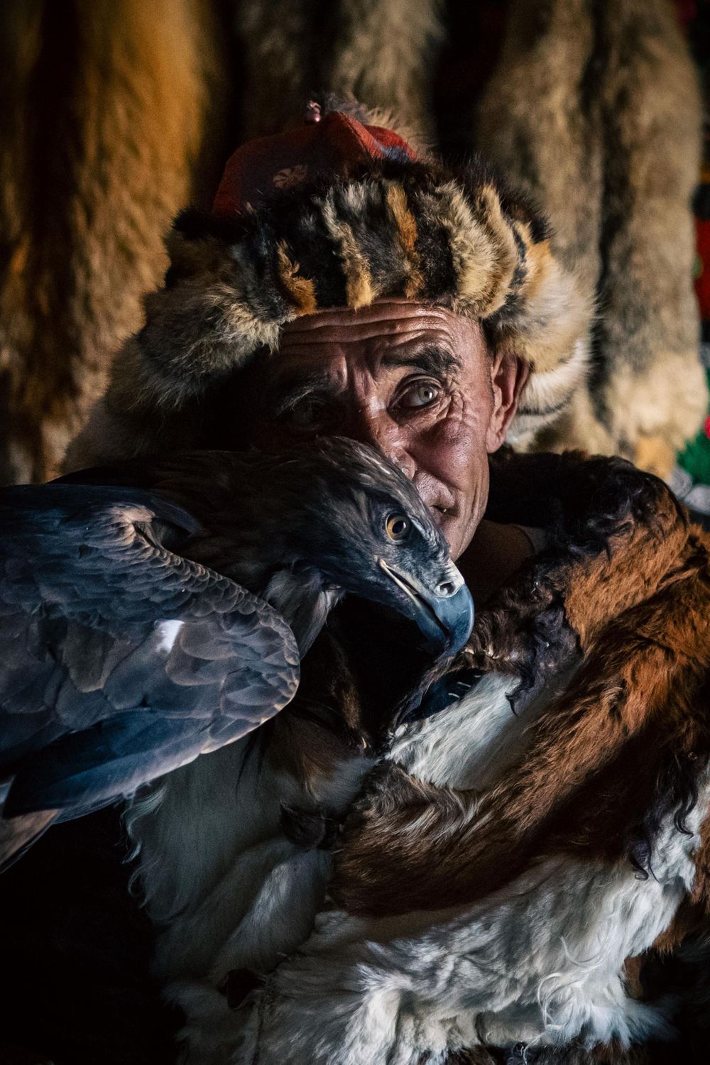 Close-up portrait of an eagle hunter with his trained hunting bird.