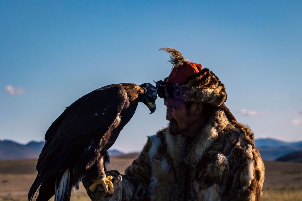 Falconer in traditional dress working with a large bird of prey against mountain backdrop.