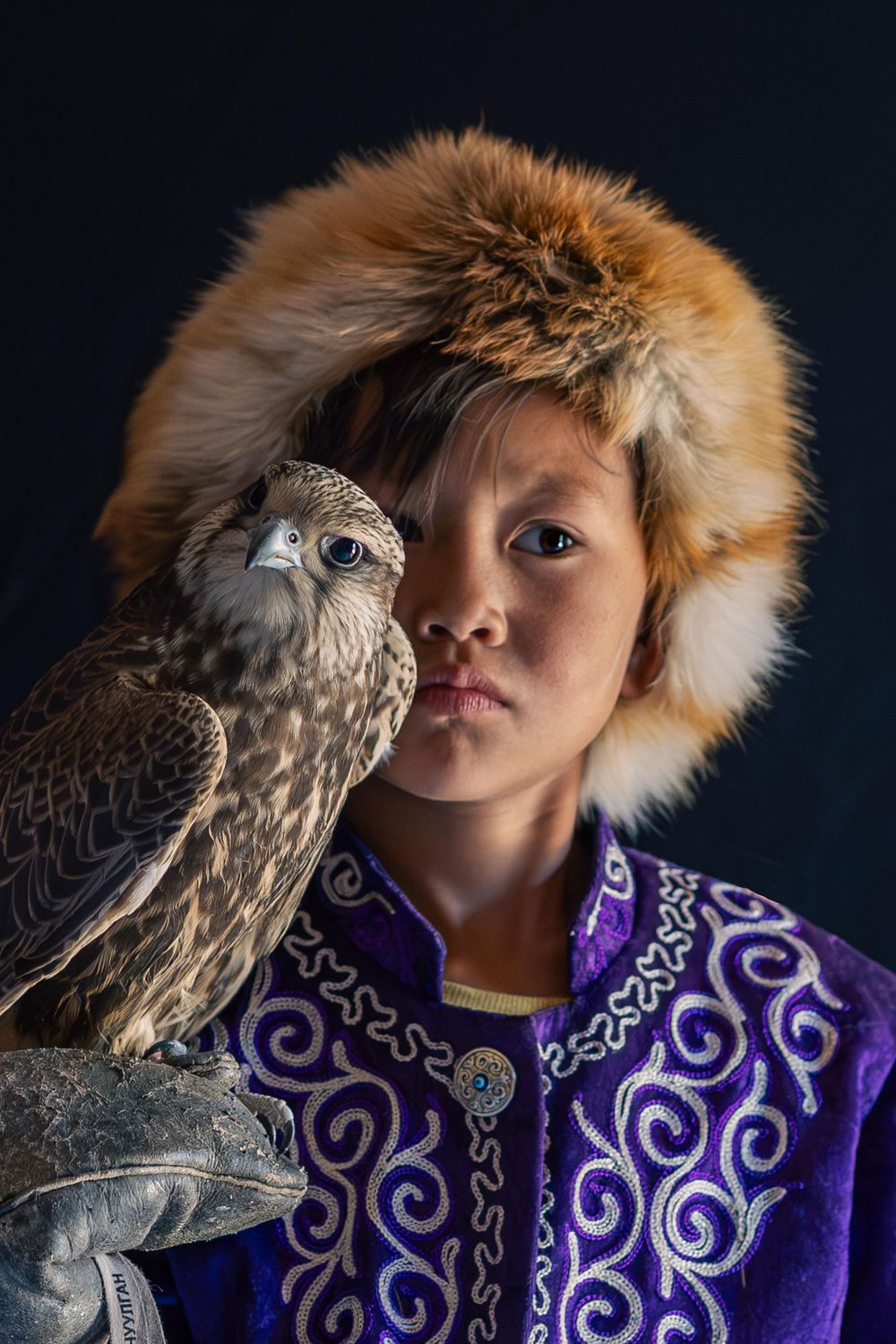A trained falcon perches beside traditional purple embroidered clothing against a dark background.
