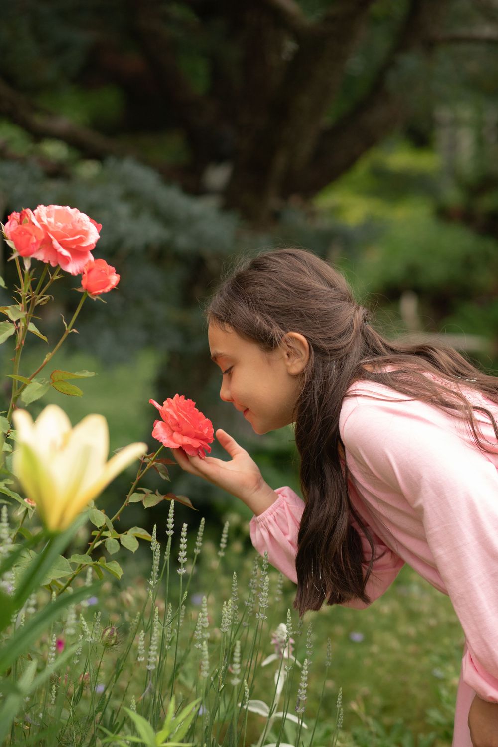 Someone taking a close-up sniff of a blooming coral-colored rose in a garden with lush greenery in the background.
