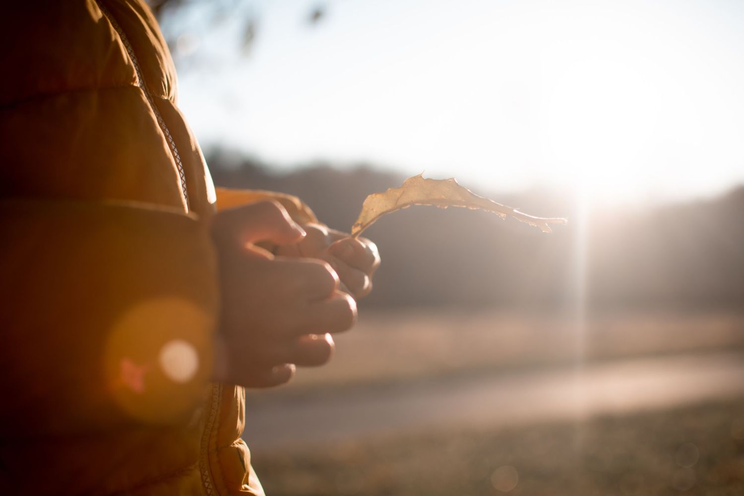 Child holding a yellow leaf in the fall with sun flare in background during golden hour.