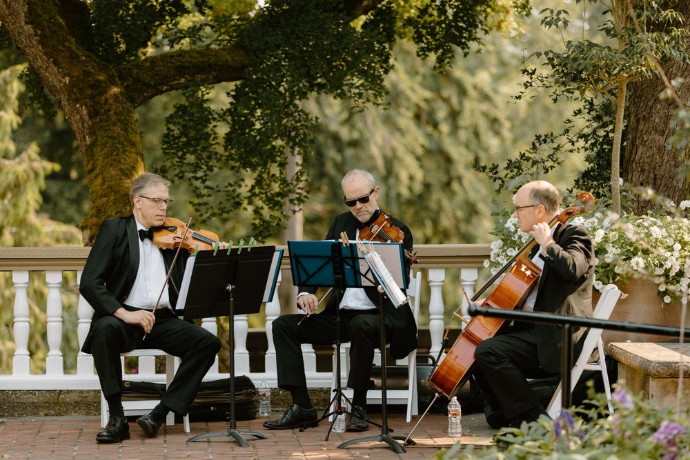 Classical musicians perform as a string trio on an outdoor garden terrace beneath shady trees.