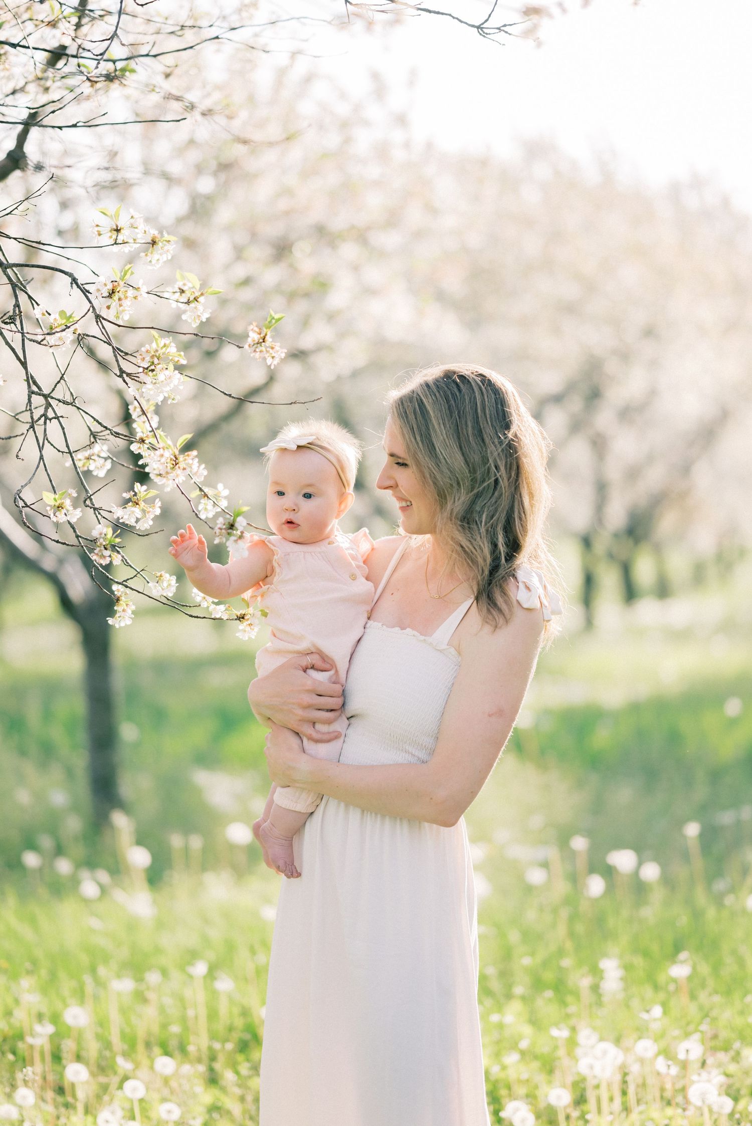 A tender springtime moment in a blooming cherry orchard as mother and baby reach for delicate white blossoms.