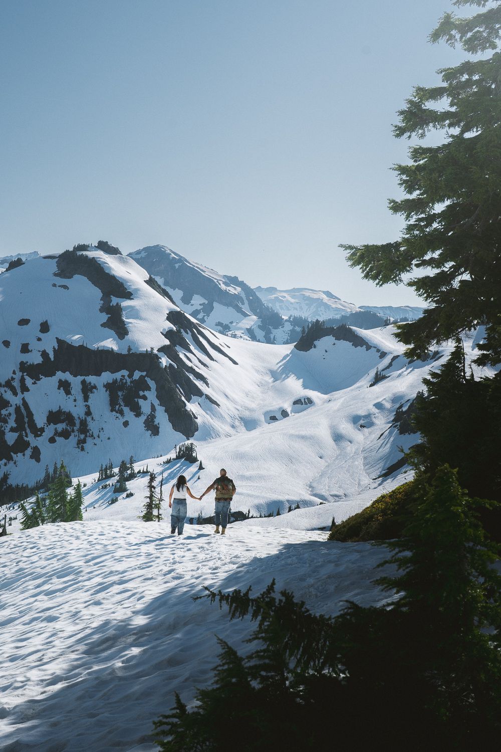 Hikers exploring a snowy mountain trail with snow-capped peaks and evergreen trees in the background on a clear day.