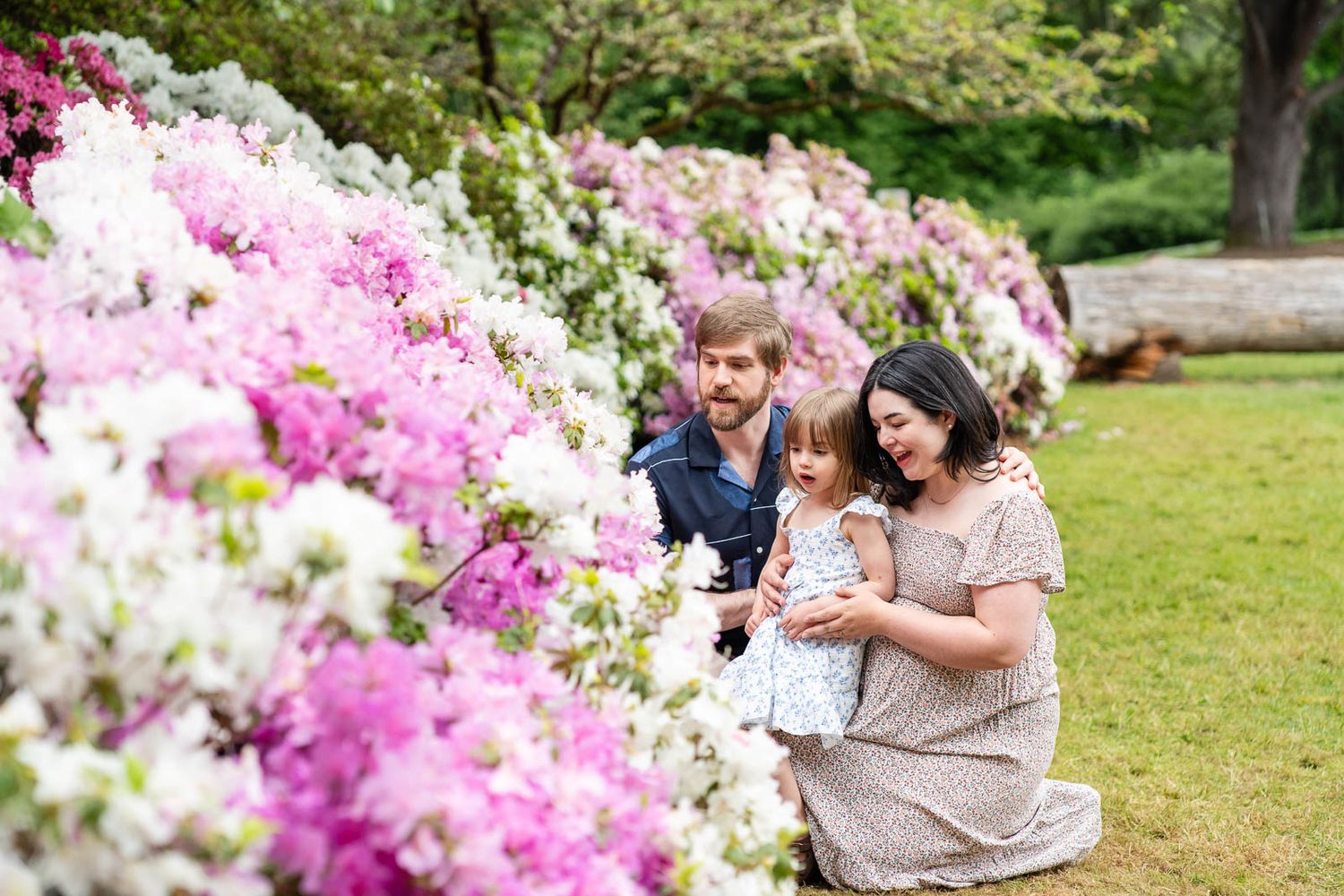 Family looking at and touching purple and white rhododendron flowers.