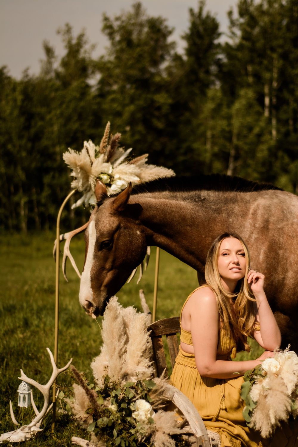 Outdoor scene with a brown horse and dreamy pampas grass decorations in a meadow setting.
