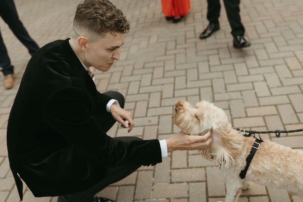 Wedding couple and their small white dog pose together on brick paved walkway during outdoor photoshoot.