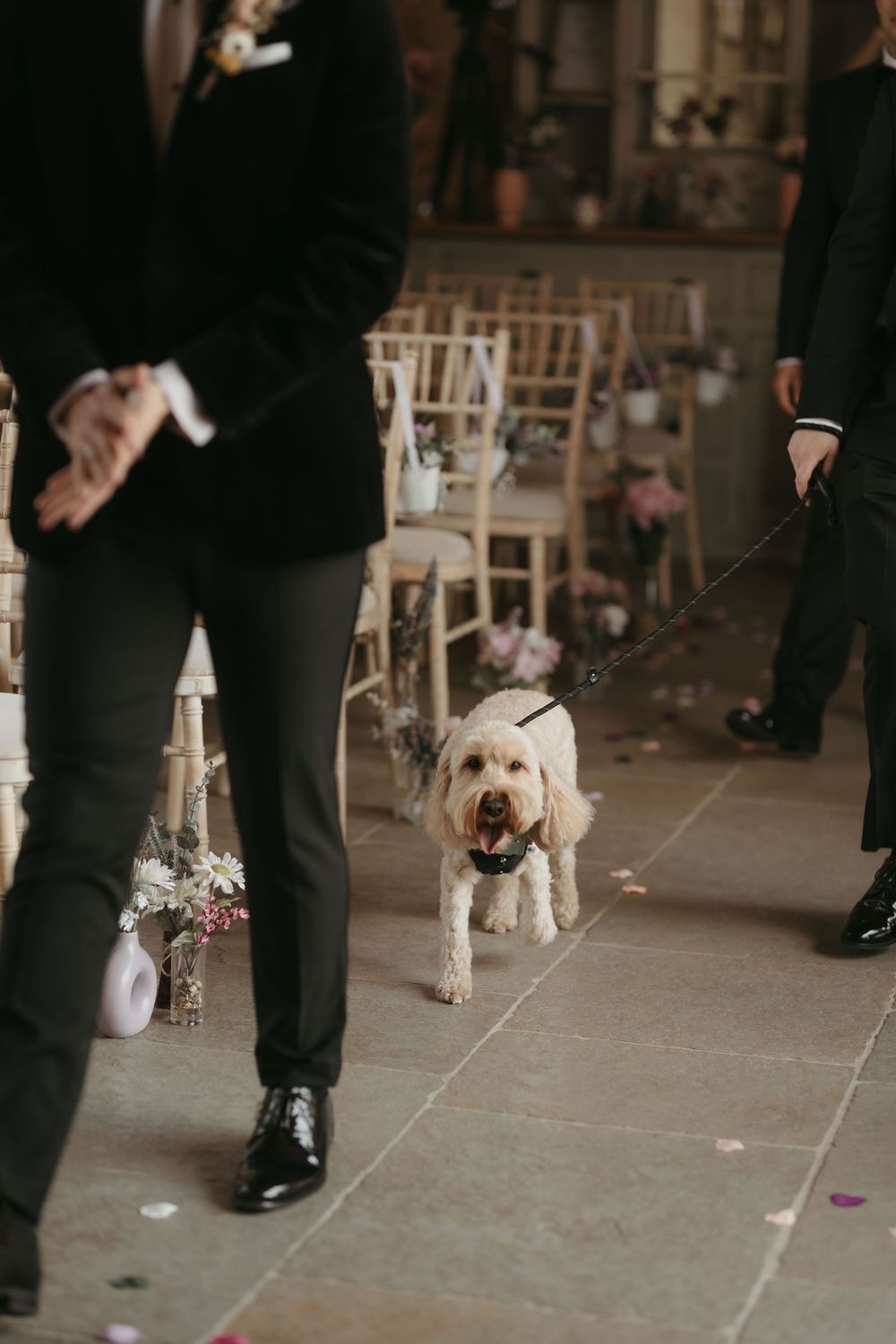 A white dog on a leash walks between people in formal attire during what appears to be a wedding ceremony.