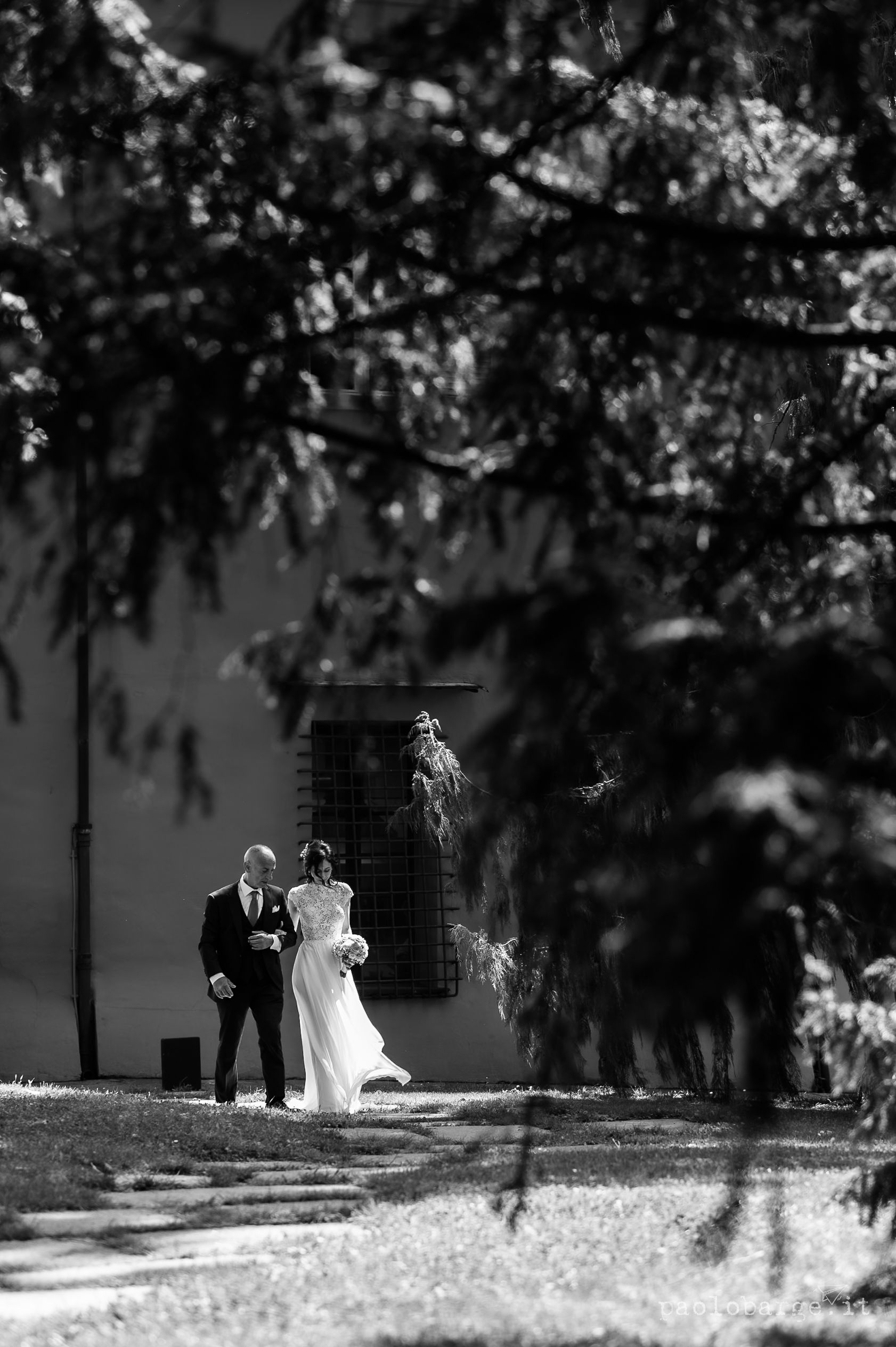 Wedding couple walks together under tree branches in a serene black and white photograph.