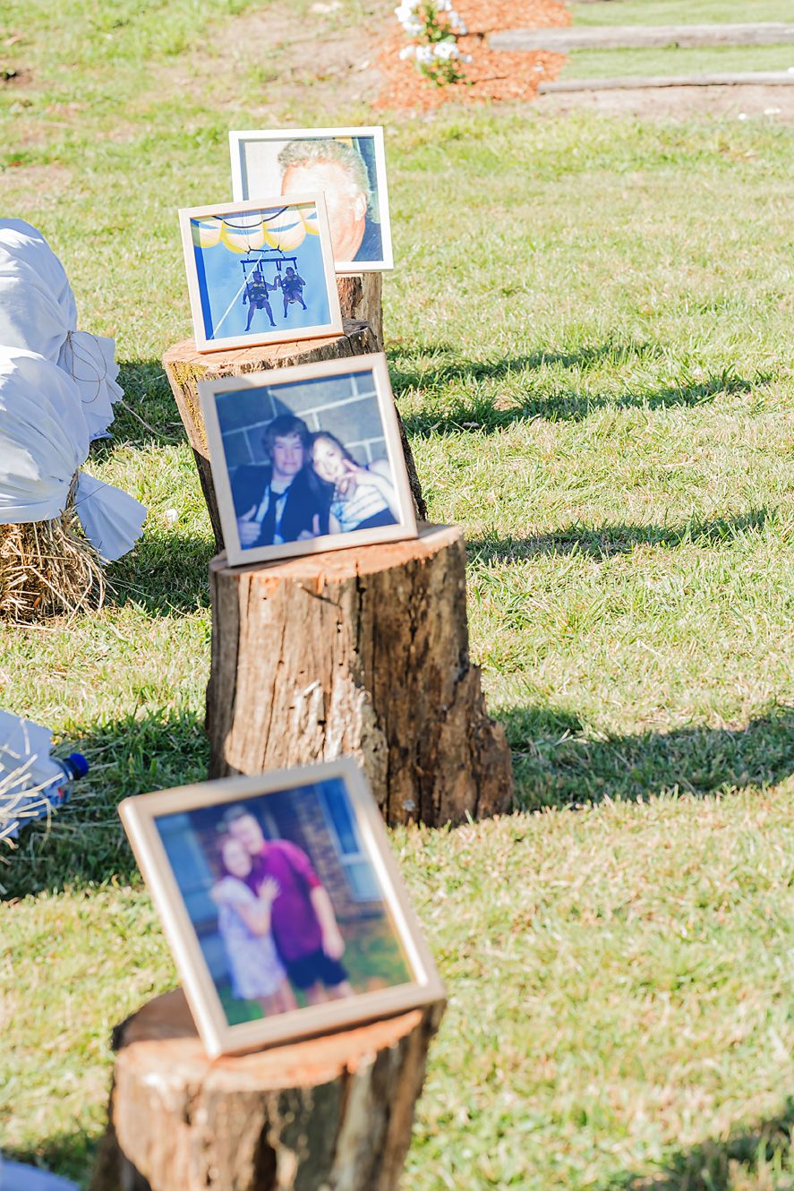 Framed photographs displayed on rustic tree stumps along a grassy pathway in an outdoor setting.