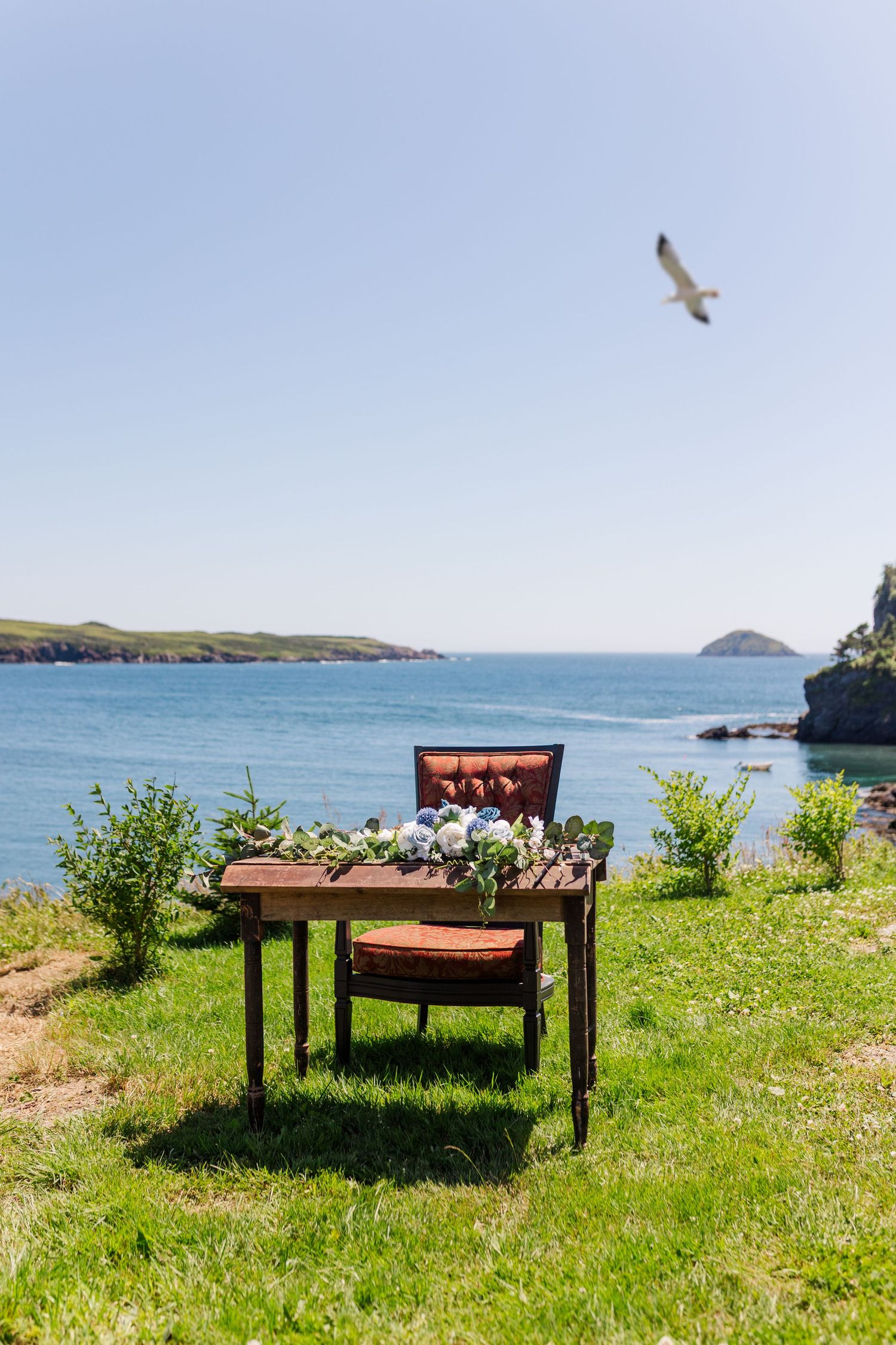 A wooden desk and chair sit on grass overlooking a scenic coastal bay with a seagull soaring overhead.