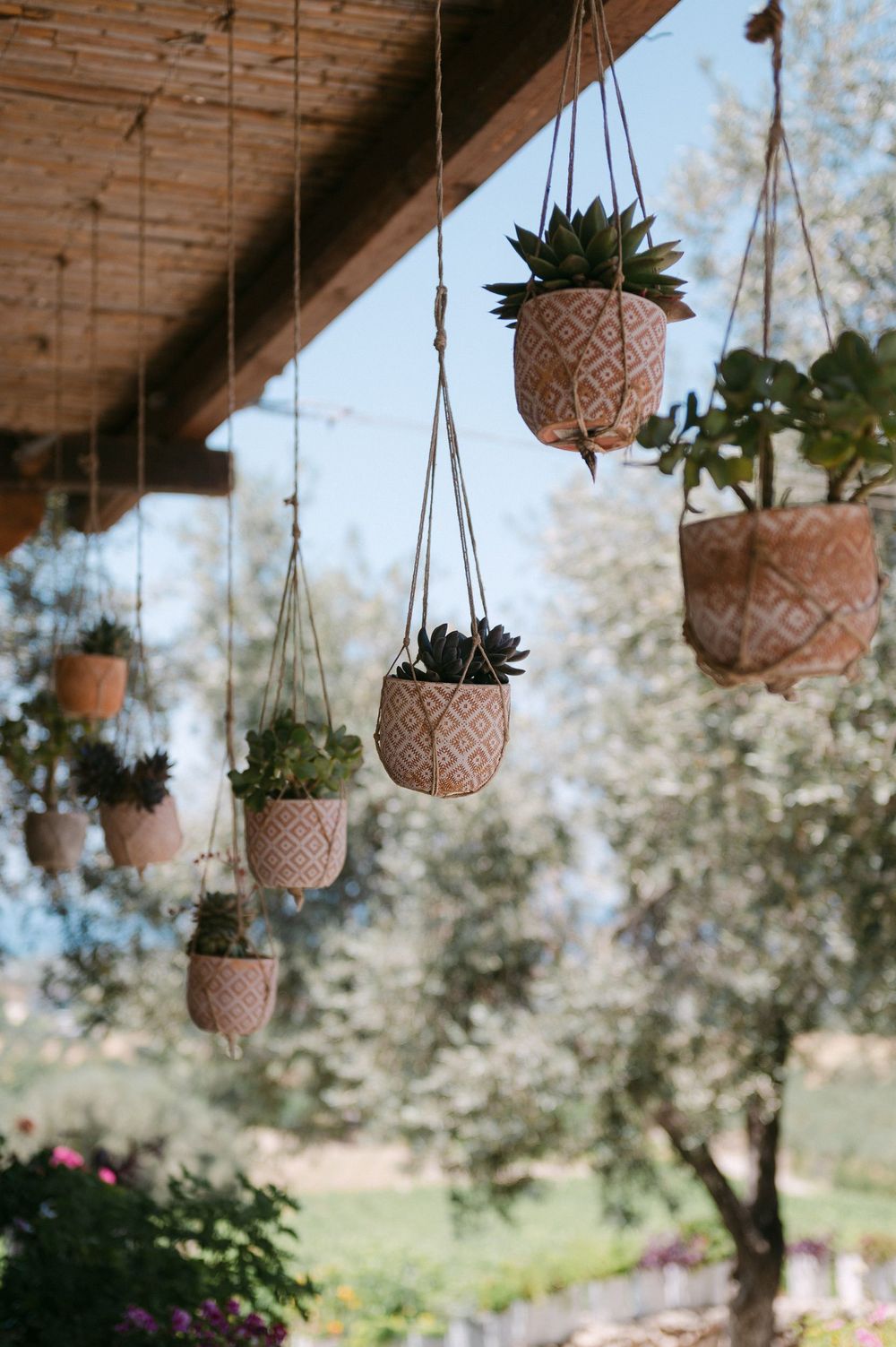 Multiple hanging macrame plant holders with succulents and small plants displayed under a wooden porch overhang.