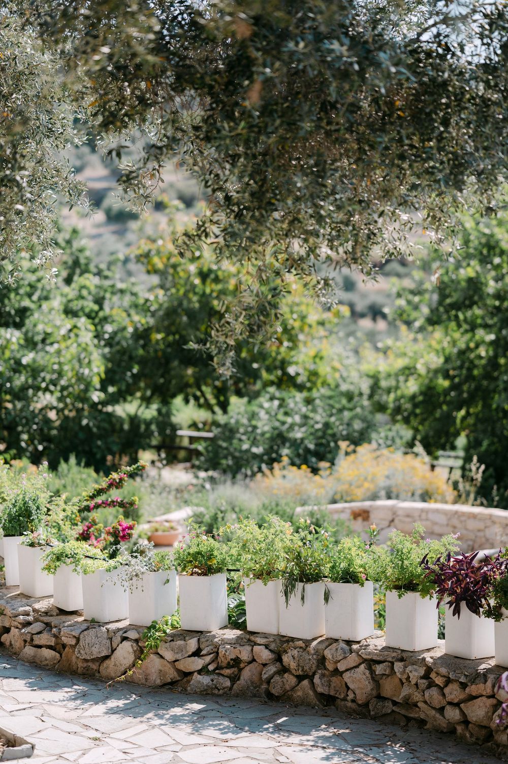 White decorative planters line a rustic stone wall in a lush garden setting beneath tree branches.