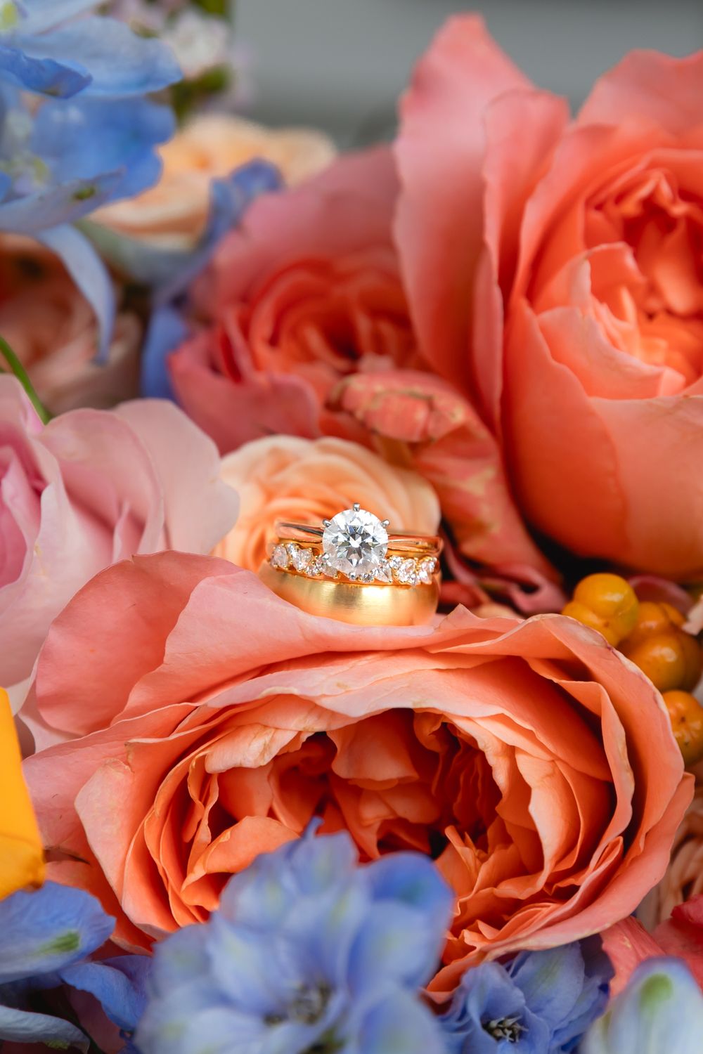 Wedding rings nestled among coral roses and blue delphinium flowers in a romantic floral arrangement.