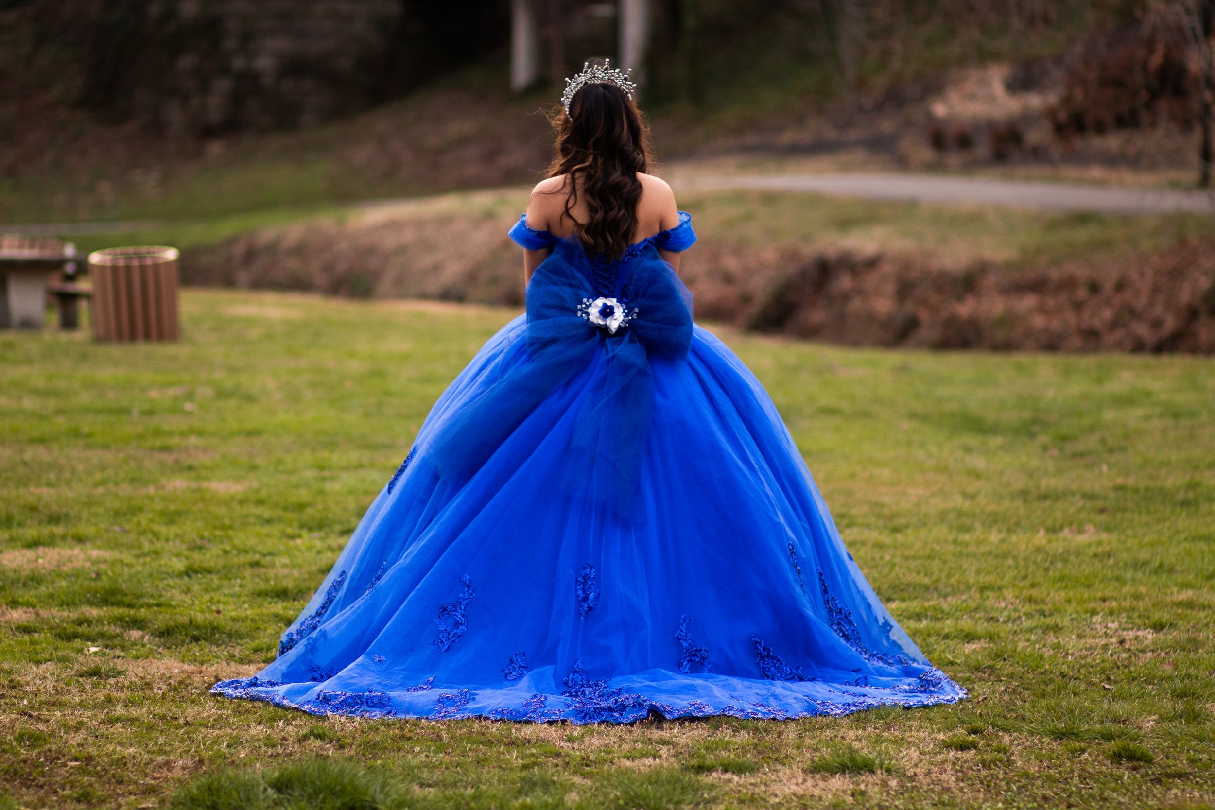 Royal blue ball gown creates dramatic silhouette against green landscape.