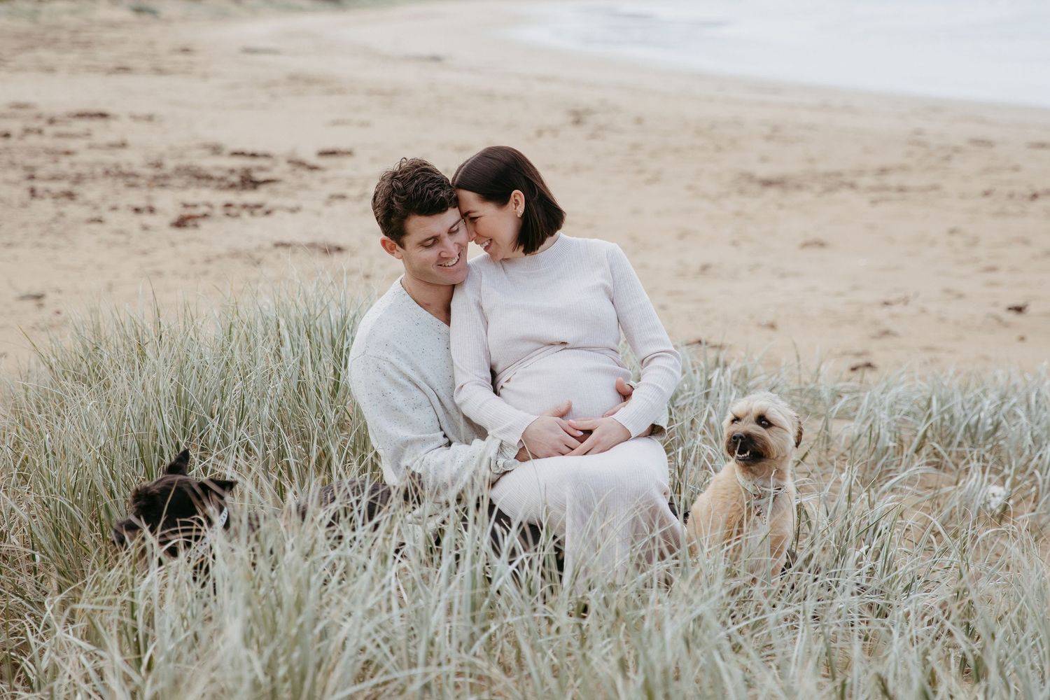 Couple sitting in beach grass with their dogs while expecting a baby.