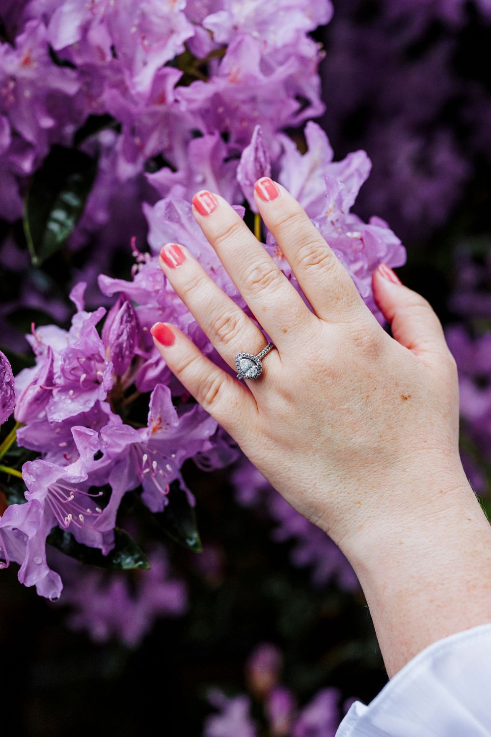 A hand with coral nail polish and an engagement ring touches vibrant purple rhododendron flowers.