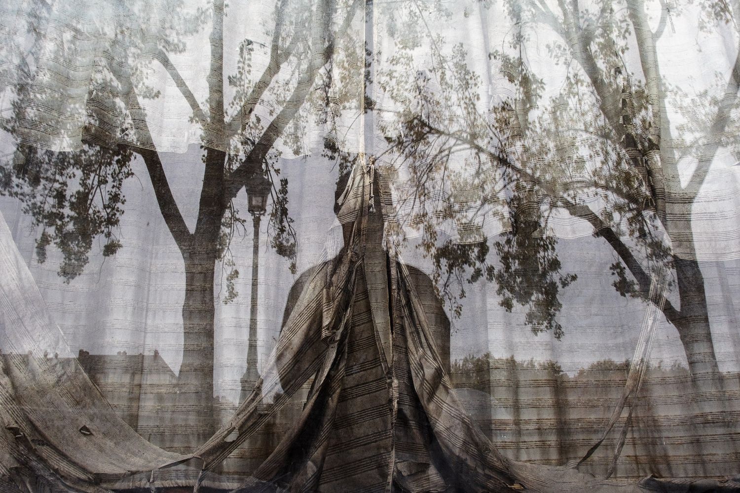 Double exposure photograph of trees and architectural elements creating a dreamlike scene.