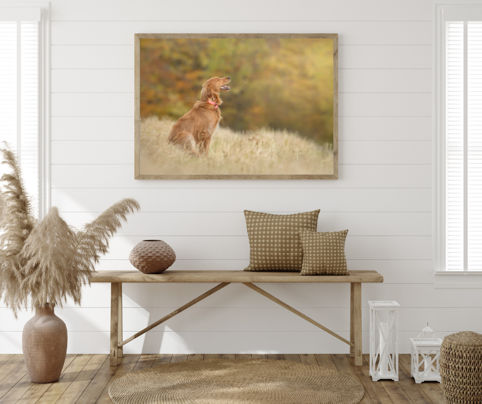 A modern living room interior with wooden bench, pampas grass decor, and nature-inspired dog canvas art on white wall.