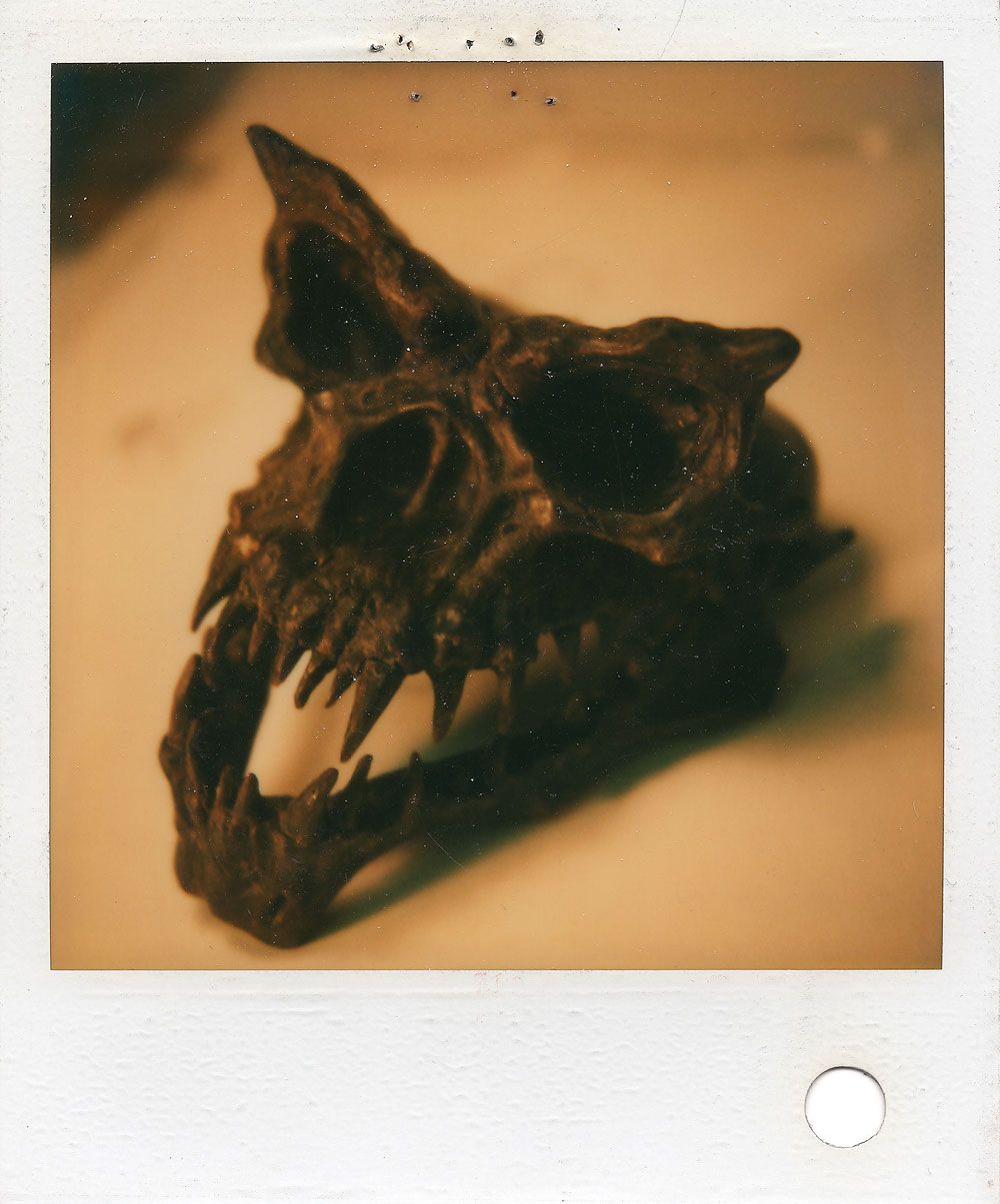 Gremlin skull