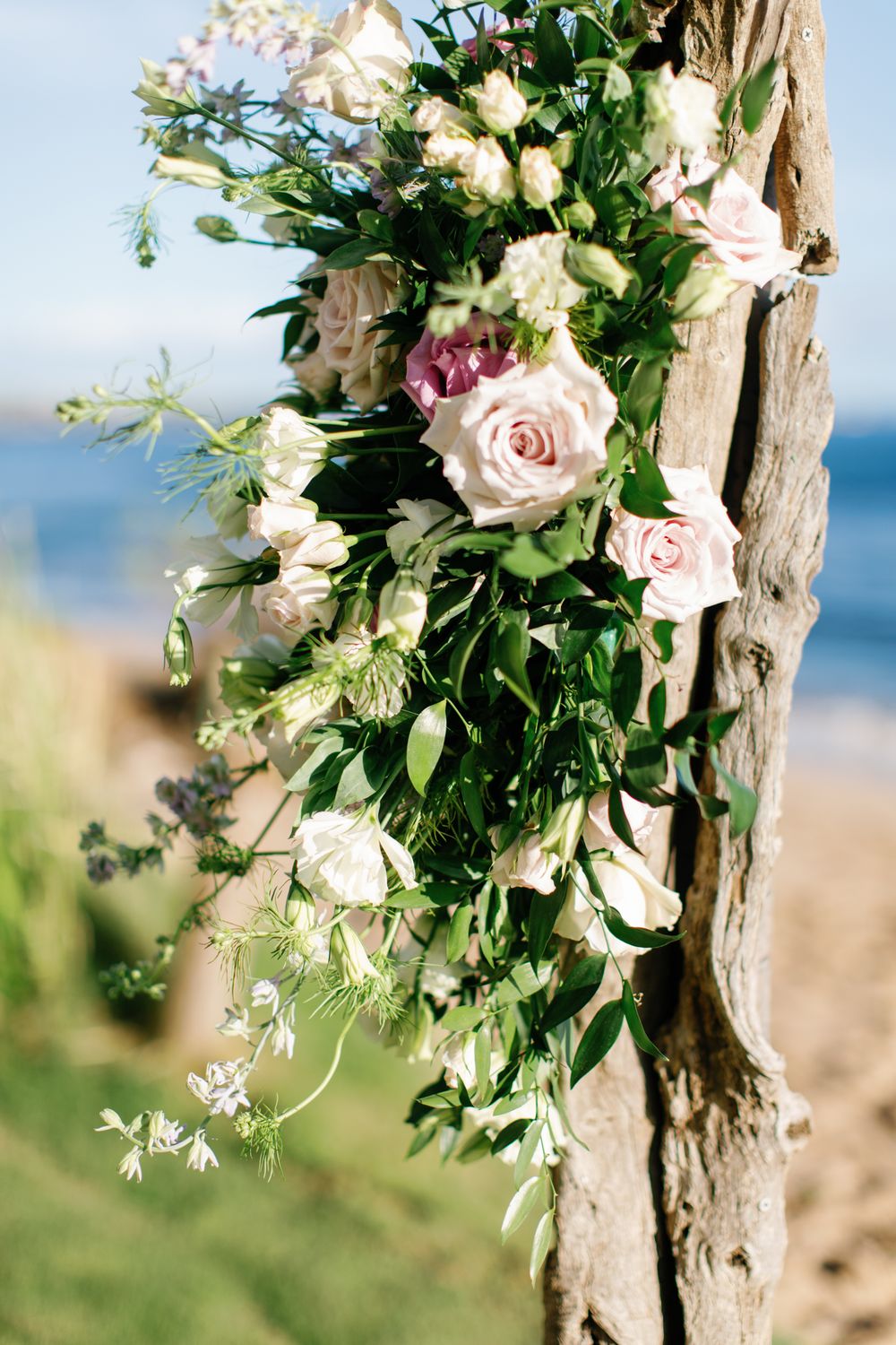 Elegant floral arrangement with pink roses and greenery cascading down weathered driftwood against a beachy backdrop.