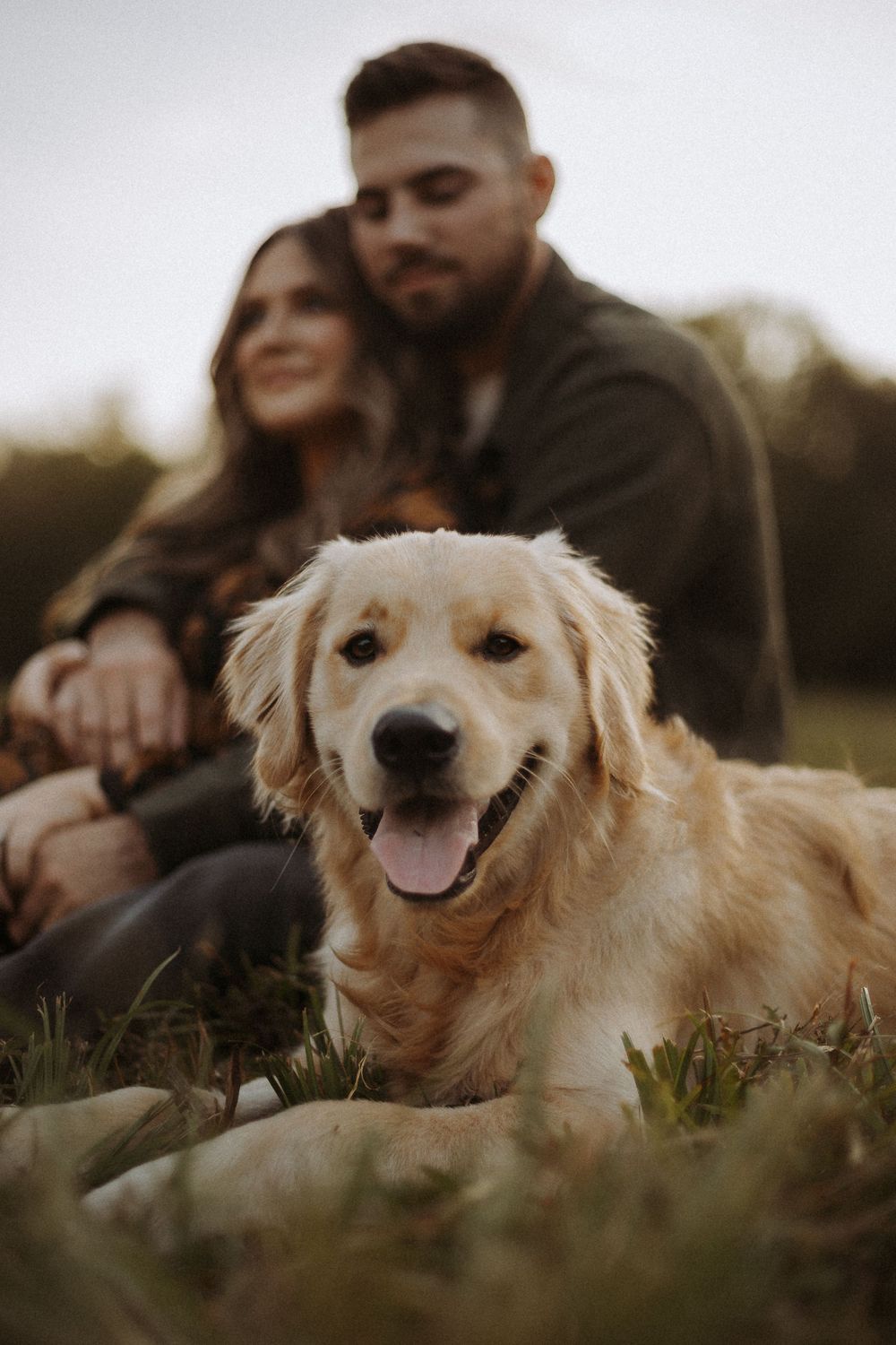 couple photographed with golden retriever dog in golden hour photoshoot in Huntsville Alabama