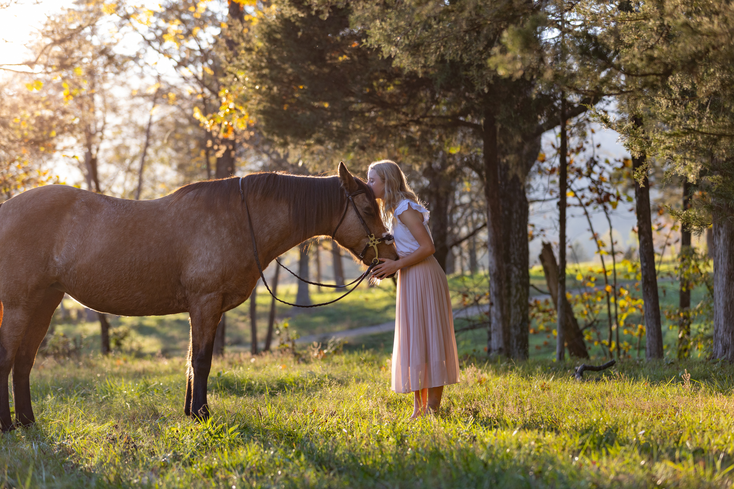Horse and companion share peaceful moment in sunlit meadow during golden hour.