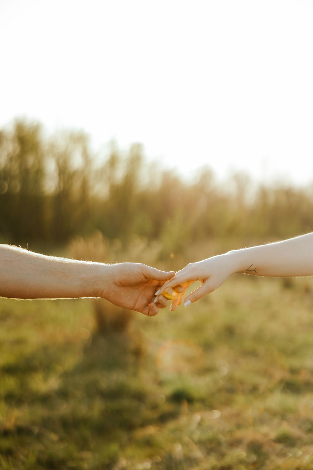 Two hands reaching towards one another against a blurred golden sunset background, reminiscent of Michelangelo's Creation.