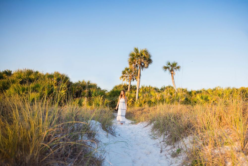 Sandy path through coastal dunes winds past palm trees on a sunny beach at golden hour.