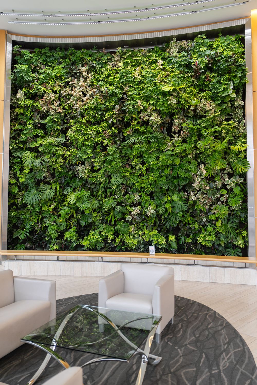Modern lobby seating area with white armchairs and glass table against a lush vertical garden wall with blooming flowers.