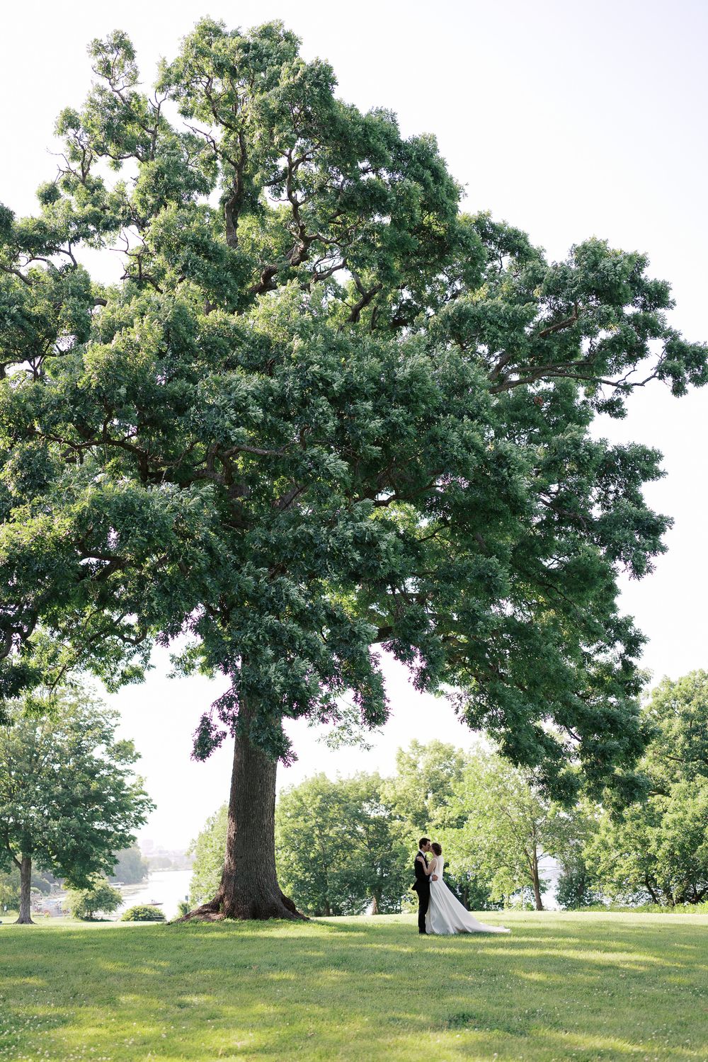 A scenic landscape of couples walking beneath majestic oak trees on a lush green hilltop.
