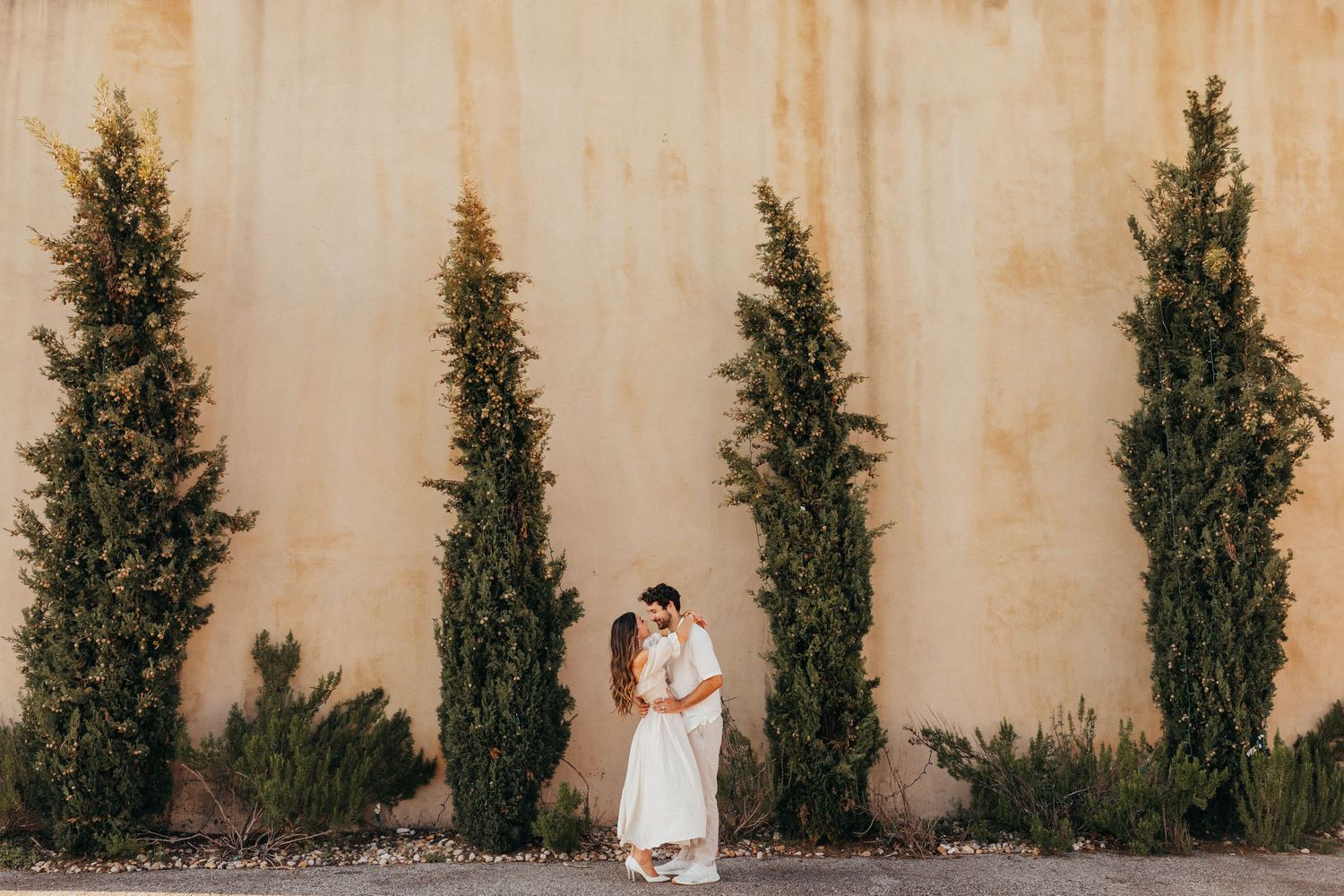 Row of tall green cypress trees line a beige wall with dappled sunlight creating dramatic shadows.