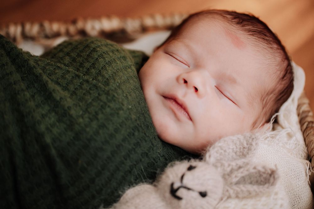A peacefully sleeping newborn wrapped in a cozy green knit blanket rests against a soft plush toy.