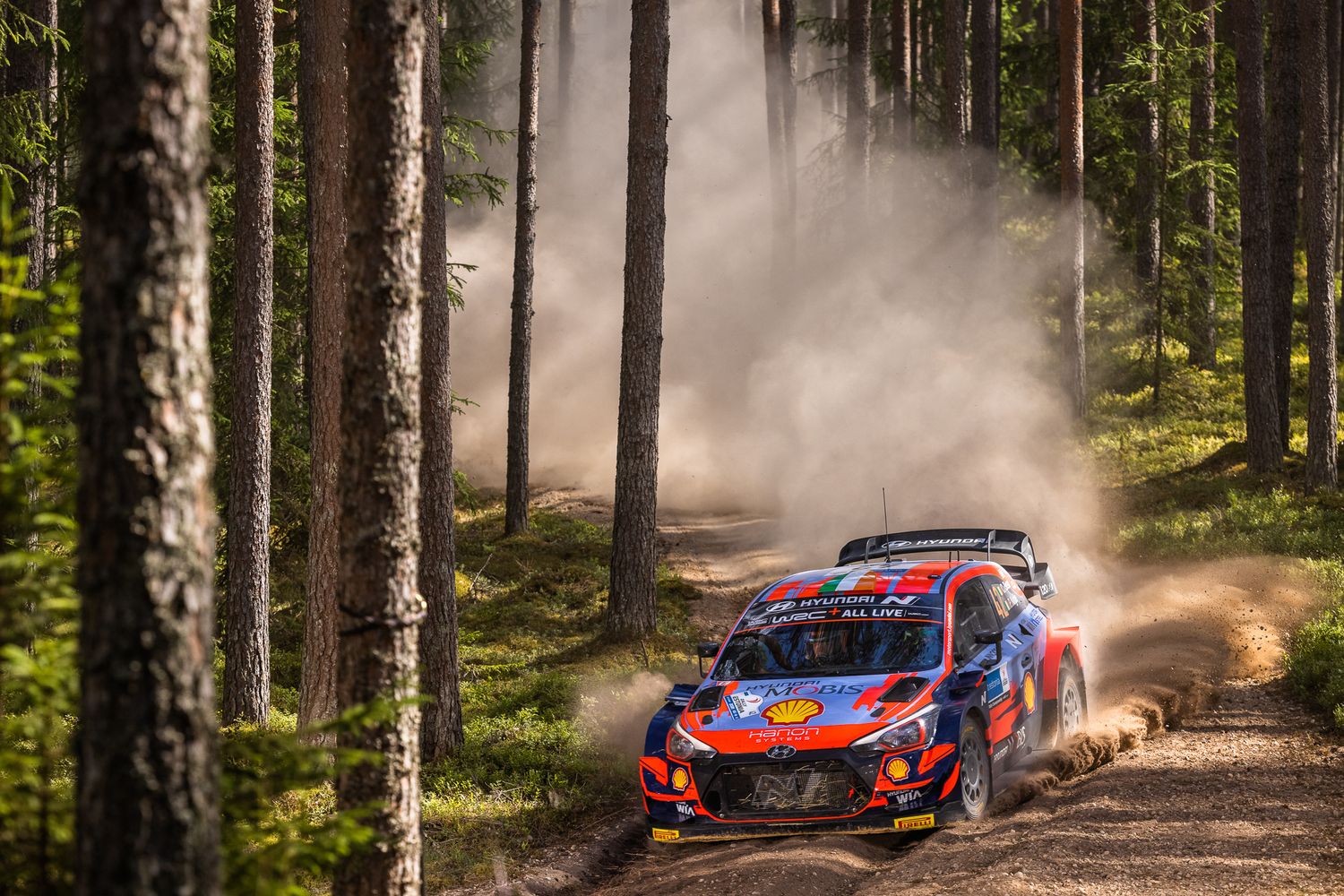 Red and blue Hyundai rally car kicks up dust while racing through a misty forest course during a competition.