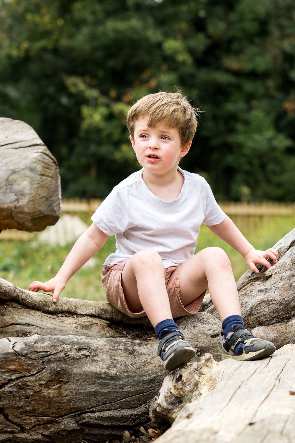 small boy sitting on fallen down tree trunk