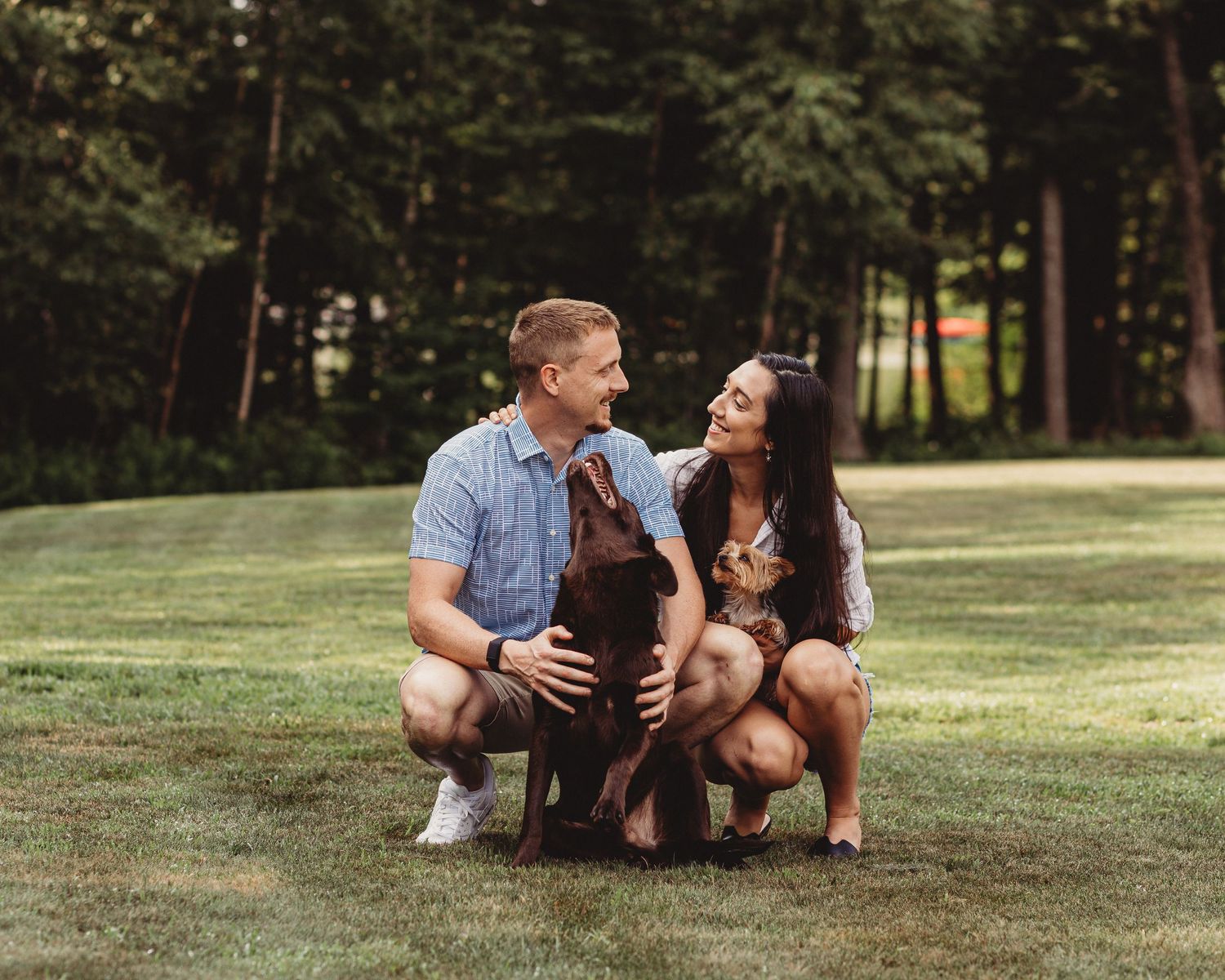 Professional photo of of a family with two dogs