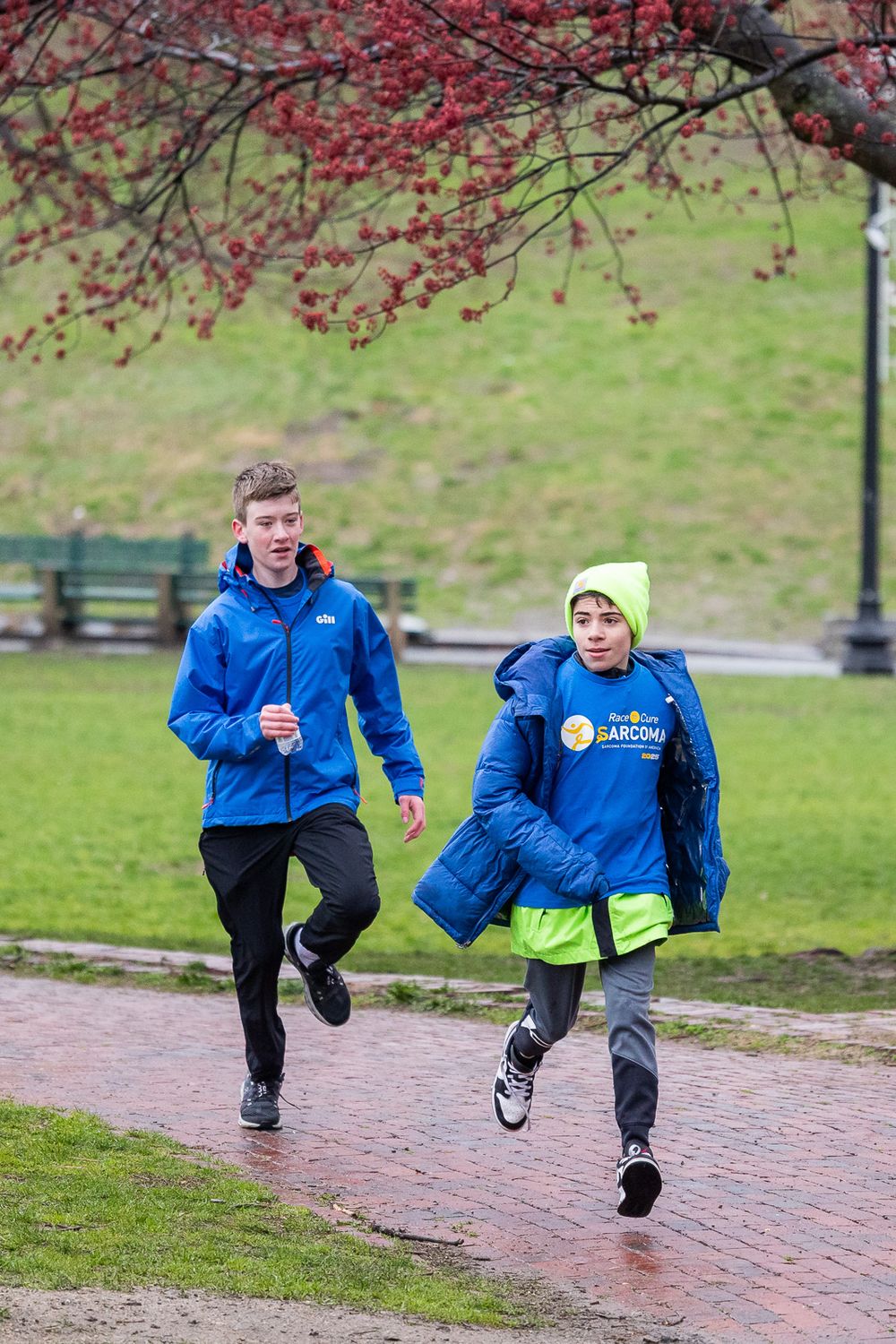 Two runners in blue jackets jog along a brick path under red berry branches on a cool spring day.