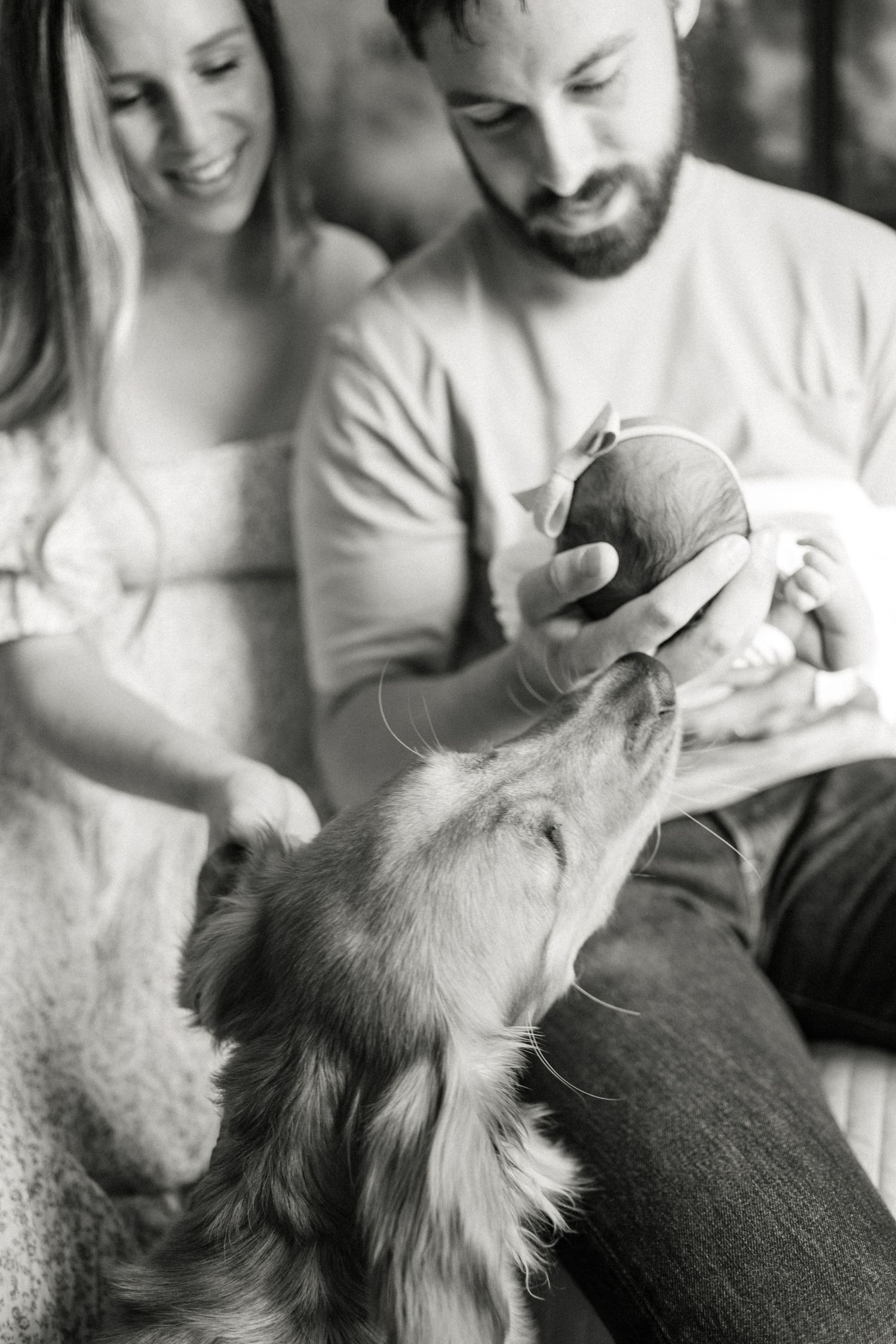 A dog curiously looks up at a newborn baby being held while parents smile.