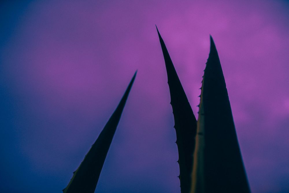 A dramatic panoramic skyline featuring silhouetted mountain peaks against a vibrant purple and blue sunset sky.