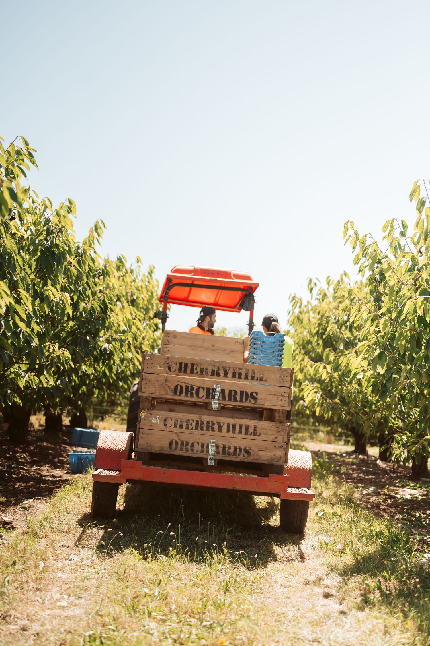 Business lifestyle photography Melbourne - authentic commercial photography Yarra Valley