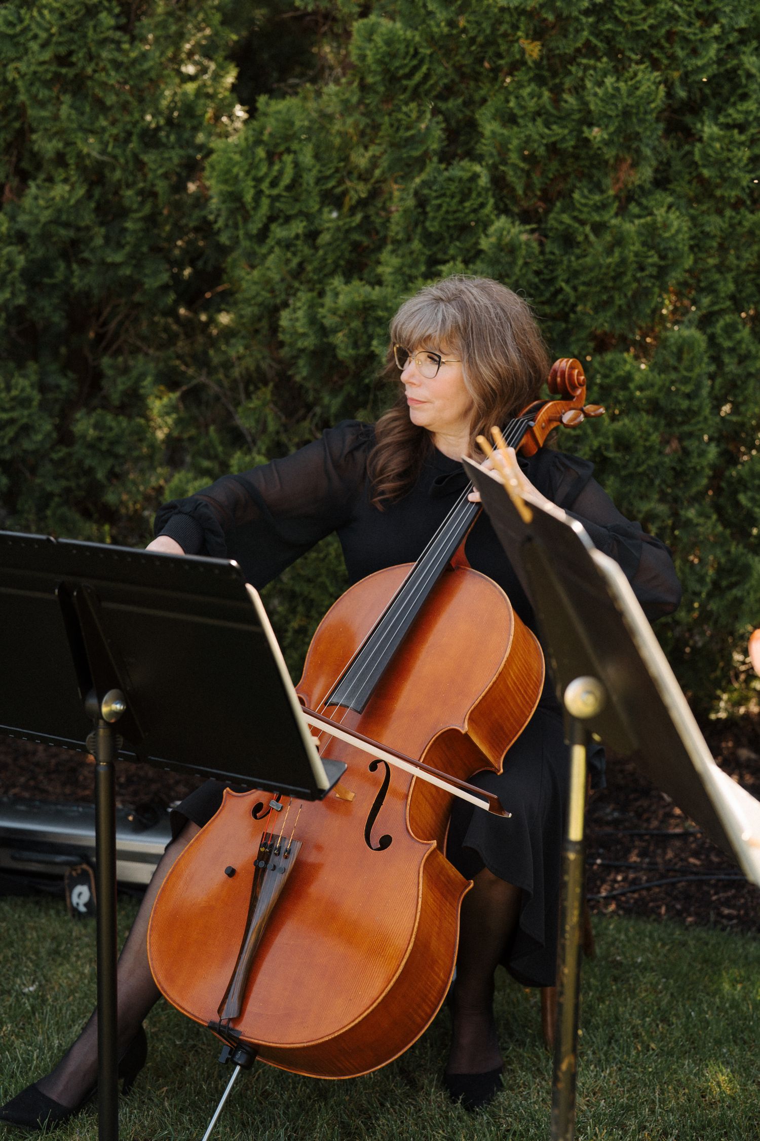 Musician performs with cello outdoors near green hedges during outdoor concert or event.