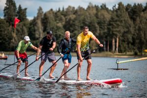 Four paddleboarders racing in formation on a lake with forest backdrop.
