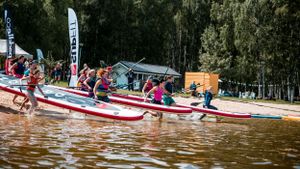Paddleboarders lined up along shoreline preparing to start a race.