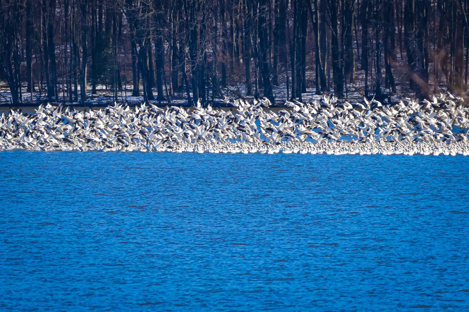 Blue lake waters contrast against stone breakwater and dark forest treeline in dramatic landscape scene.