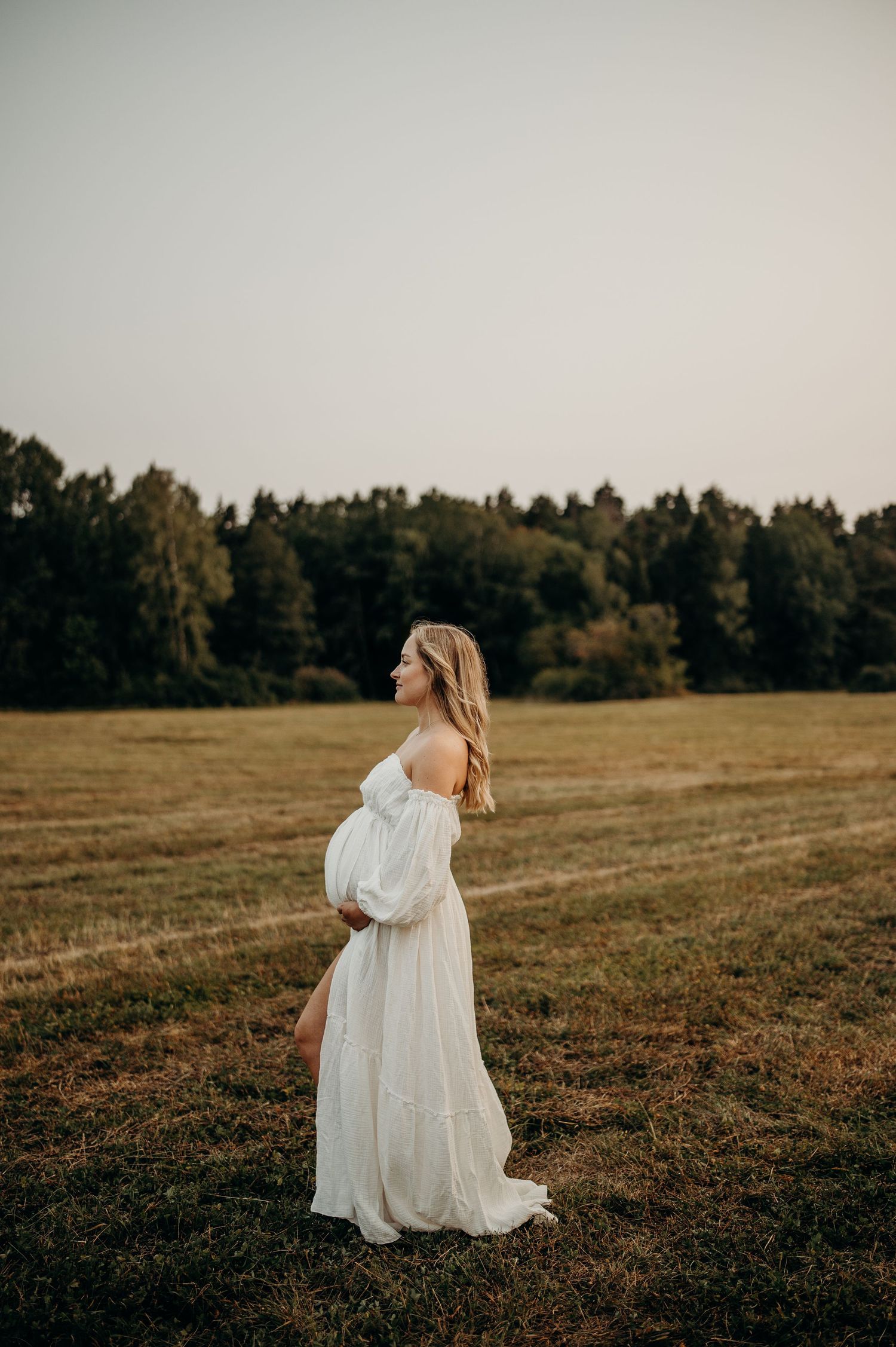 gravidfotografering på fält i solnedgången