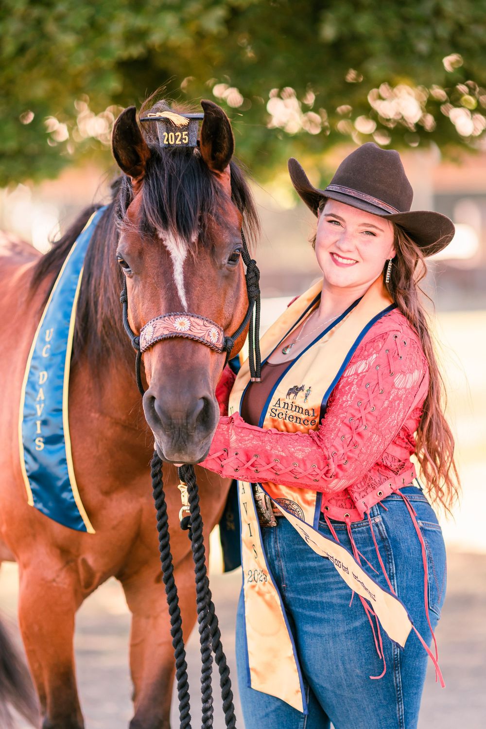 A western-themed photoshoot with a brown horse wearing decorative blue and gold tack.